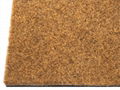 Coir Carper 1