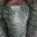 building materials galvanize razor barbed wire mesh fence