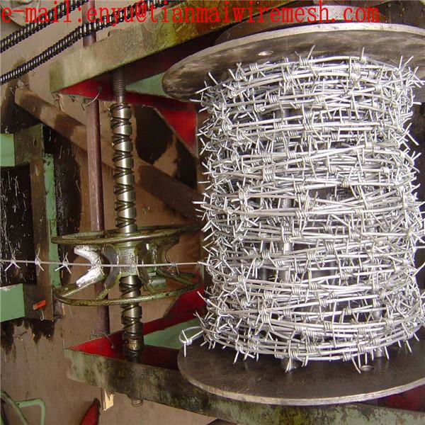 building materials galvanize razor barbed wire mesh fence 2