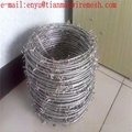 electro barb wire security fence use up on-wall use