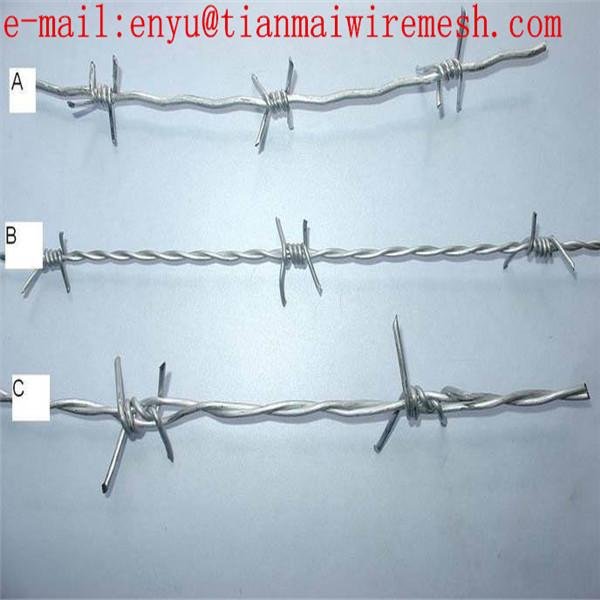 electro barb wire security fence use up on-wall use 5