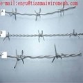 electro barb wire security fence use up on-wall use