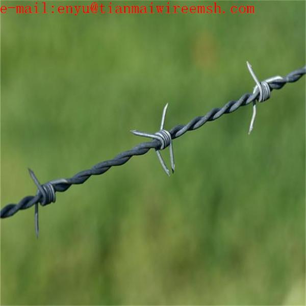 Safety Stainless steel  Barbed Wire Fence Sale 3