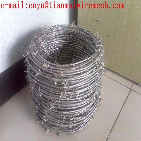 Safety Stainless steel  Barbed Wire Fence Sale 4