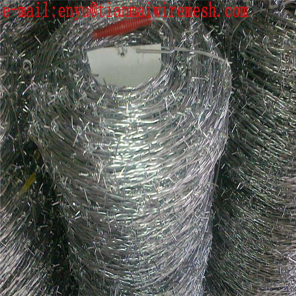 Safety Stainless steel  Barbed Wire Fence Sale 5