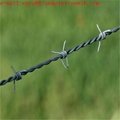 2 twisted wires with 4 spikes galvanized barbed wire 3