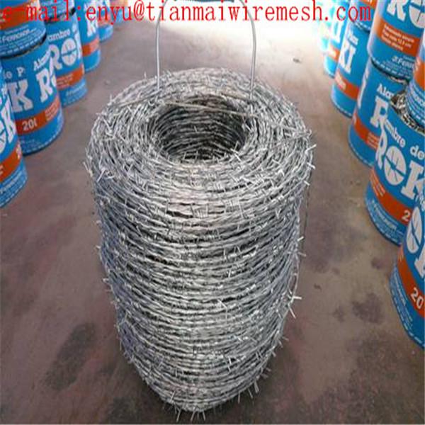 galvanized steel coil barb wire mesh fence