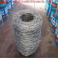  galvanized steel coil barb wire mesh fence