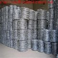  galvanized steel coil barb wire mesh fence 2
