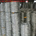  galvanized steel coil barb wire mesh fence 3