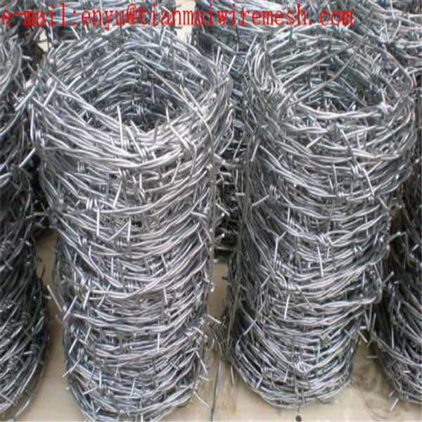  galvanized steel coil barb wire mesh fence 4