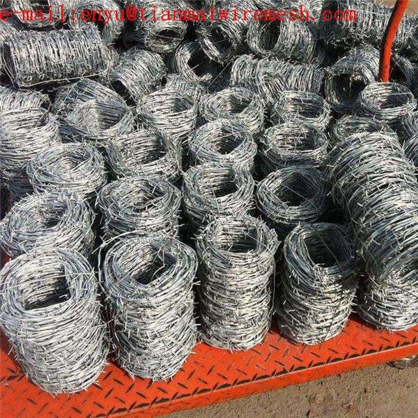  galvanized steel coil barb wire mesh fence 5