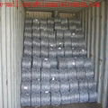 12*12 Galvanized fence barbed wire mesh hot sale