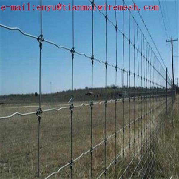 fixed knot field fencing galvanized cattle sheep deer fence
