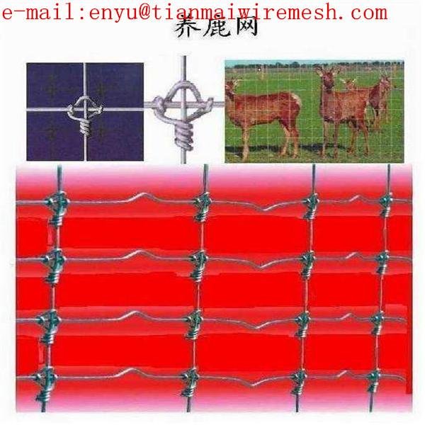 fixed knot field fence deer farm live stock fencing