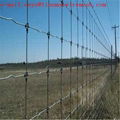 fixed knot field fence deer farm live stock fencing 6