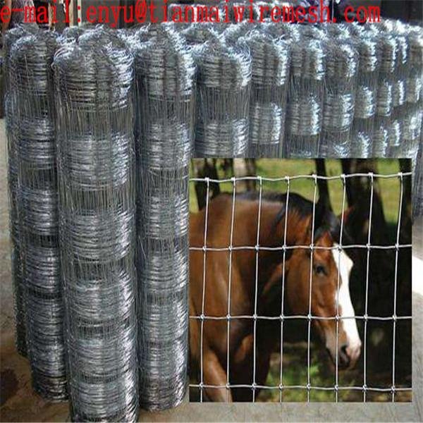 fixed knot woven wire grassland mesh fence for cattle and sheep