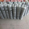 fixed knot woven wire grassland mesh fence for cattle and sheep 2