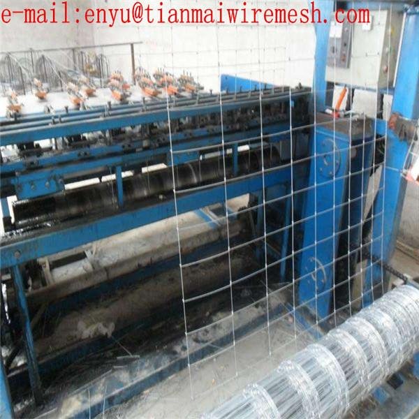 fixed knot woven wire grassland mesh fence for cattle and sheep 5