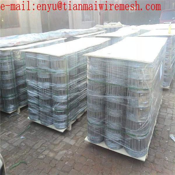 animal farm fence hot dipped galvanized fixed knot woven wire fence wire mesh 5