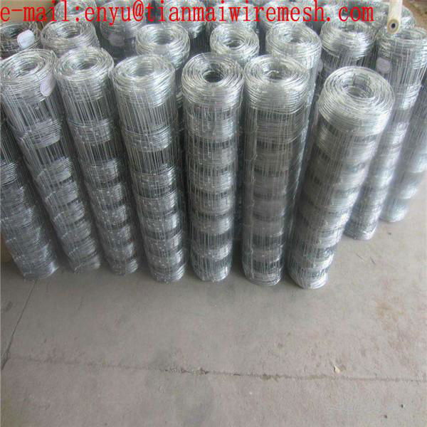 Galvanized wire mesh rolls cattle fence/ sheep fence, field fence for sale 2