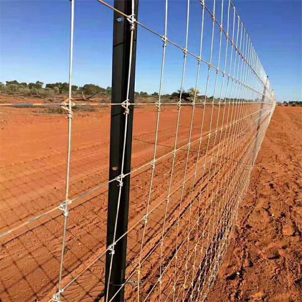 Galvanized Hinged knot Farm Fence Cattle Fence 3