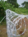 450mm coil diameter concertina razor barbed wire 