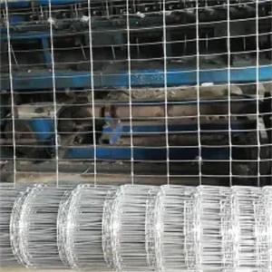 10 line wires fixed knot galvanized deer fence for the Australian market 2