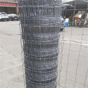 10 line wires fixed knot galvanized deer fence for the Australian market 4