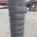 10 line wires fixed knot galvanized deer fence for the Australian market