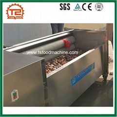 Brush Type Ginger Potato Cassava Washer and Washing Machine