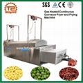 Gas Heated Automatic Food Frying Machine for french fries