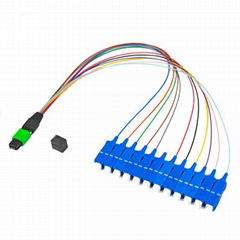 Singlemode MPO/MTP to 12 SC Fiber Optic