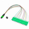 Singlemode MPO/MTP to 12 SC Fiber Optic Patch Cord 2