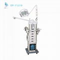 Multifunctional Beauty Equipment  19 In