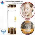 500ml SPE Hydrogen Rich Generator Water