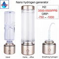 Nanometre High Hydrogen Water Cup SPE H2