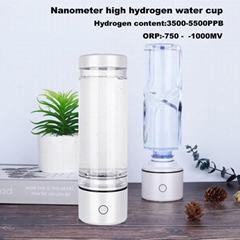 SPE High Hydrogen rich Nanometre water bottle ORP -800mv H2 Ionizer h2 generator