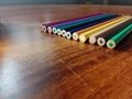 仿木環保12色塑料彩色鉛筆