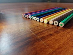 Wooden-Free Plastic 12Color 7Inch Pencil Color