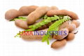 Tamarind Kernel Powder