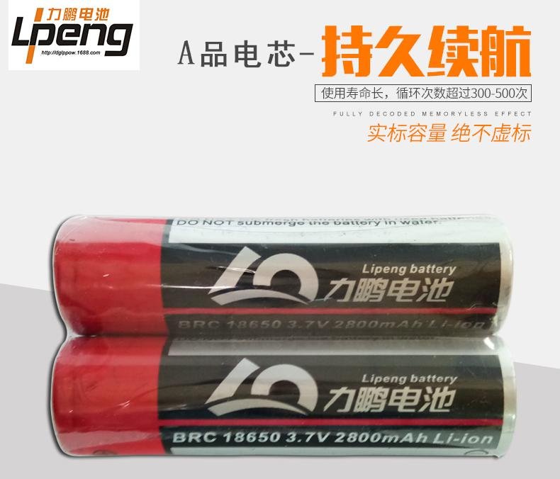 力鵬定製PVC鋰電池 1