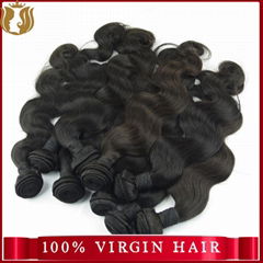 Wholesale Price Raw Virgin Indian Hair Extensions