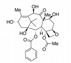 Chondroitin Sulfate