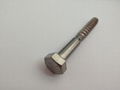 Stainless Steel Hex Head Screw