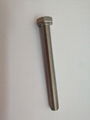 Stainless Fully Threaded Hex Head Bolt  1