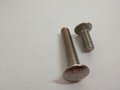 A4 Stainless Steel Carriage Bolts