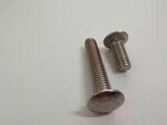 A4 Stainless Steel Carriage Bolts 