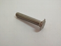 A4 Stainless Steel Carriage Bolts  2