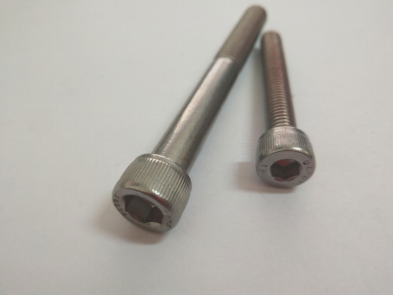 Hex Socket Screw  in Stainless  2